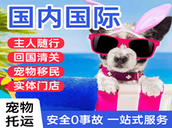 三沙机场快递国际宠物托运 【国